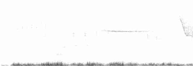 Troglodyte siffleur - ML395973991