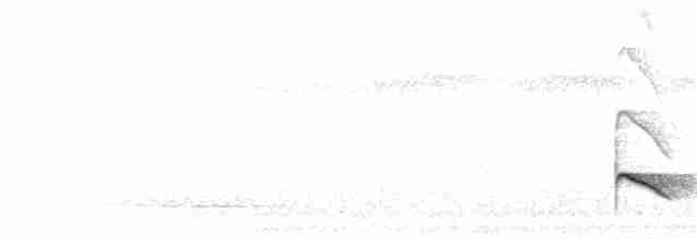 Antriade roussâtre - ML396092701