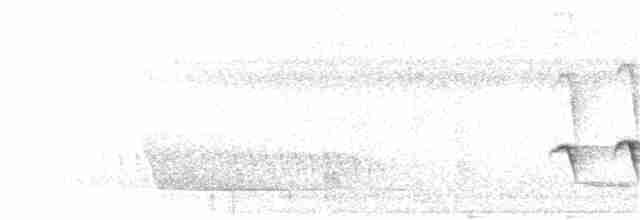 Nordamazonien-Ameisenschnäpper - ML396092741