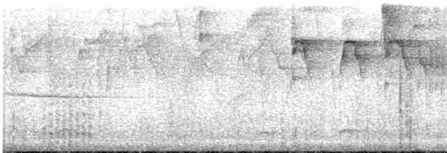 svartkroneløvtyrann - ML396131431