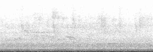 Щетинкохвіст перлистий - ML396133361