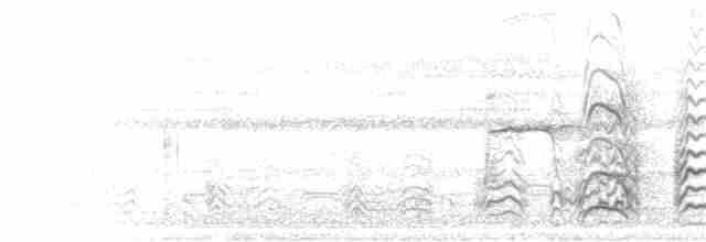 Large-billed Tern - ML396134531
