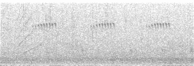 Australian Reed Warbler - ML396335721