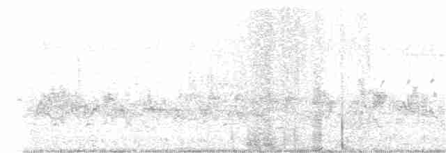 Большой пегий зимородок - ML396356211