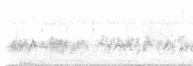 Большой пегий зимородок - ML396356231