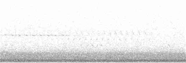 Common Yellowthroat - ML396360011
