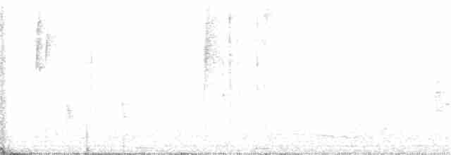 Piranga érythrocéphale - ML396445291