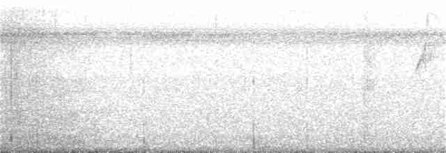 Ерміт світлочеревий - ML396506731