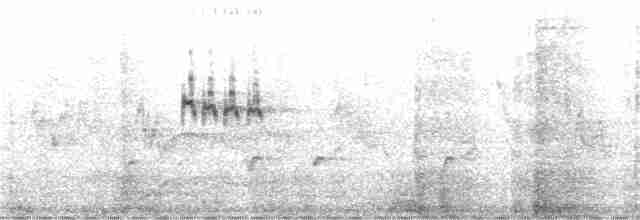 pěvuška skalní (ssp. ocularis) - ML396701121
