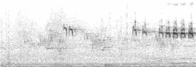 pěvuška skalní (ssp. ocularis) - ML396701131