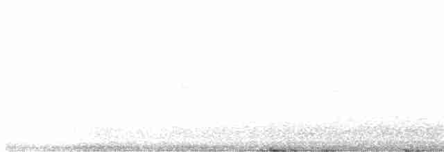 střízlík bažinný [skupina palustris] - ML396774251