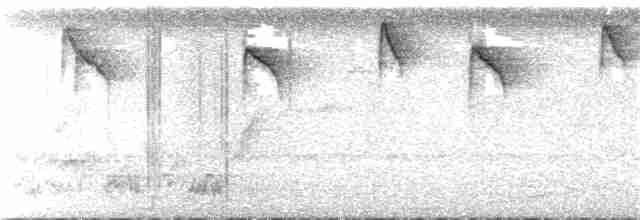 Пеночковая нектарница - ML396920351