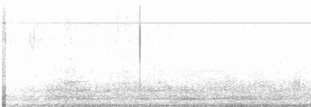 ברנטה כהה (אטלנטית) - ML39692801