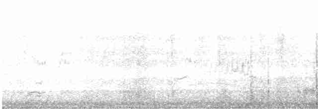 jeřáb kanadský (ssp. tabida/rowani) - ML396959811