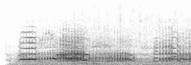 jeřáb kanadský (ssp. tabida/rowani) - ML396959911