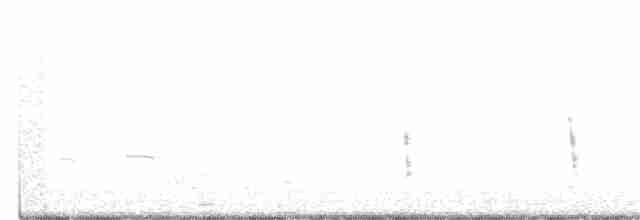 eremittskogtrost (guttatus gr.) - ML396969821