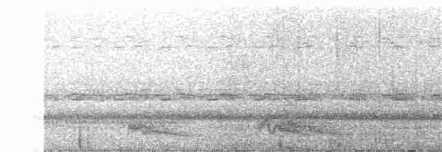 Ohrennachtschwalbe - ML397010281