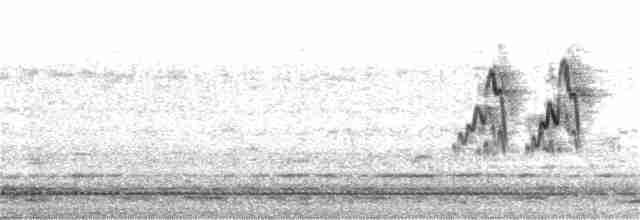 White Wagtail - ML397088721