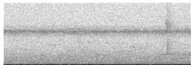 Sharp-tailed Starling - ML397100261