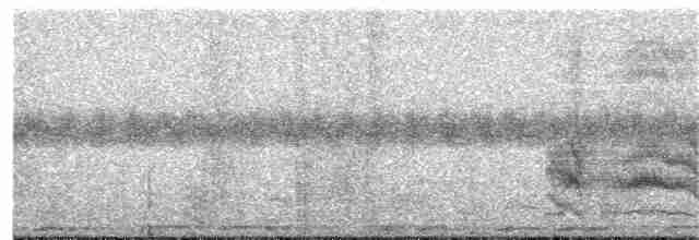 Sharp-tailed Starling - ML397126971