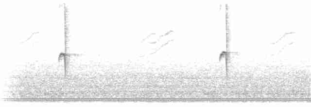 Исполинский колибри - ML397147431