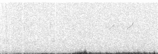 White-tailed Iora - ML397427281
