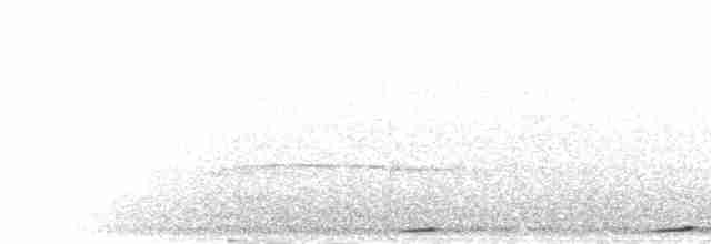 Карликовая земляная горлица - ML397445531