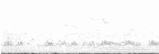 European Bee-eater - ML397458411