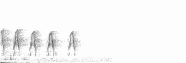 Curve-billed Tinamou - ML397467171