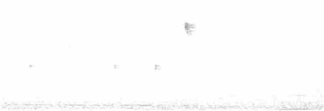 Щетинкохвіст перлистий - ML397475581