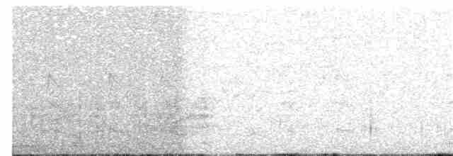 Rostscheitelammer - ML397528241