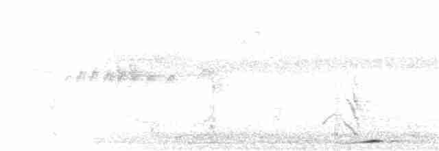 Карликовая земляная горлица - ML397531401
