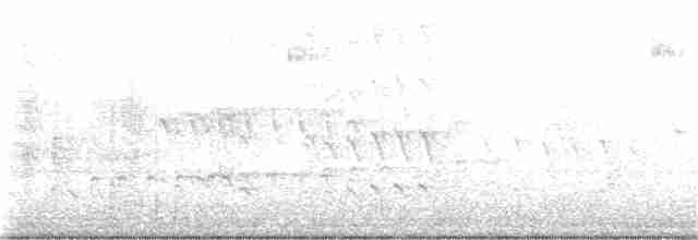 Kara Karınlı Islıkçı Ördek - ML397566401