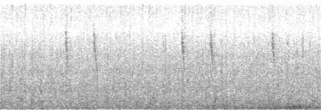 Troglodyte de Baird - ML397574271