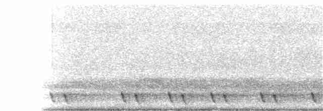 Red-necked Nightjar - ML397717281