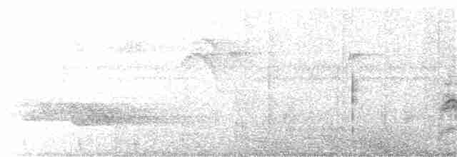 Hook-billed Kite - ML397749531