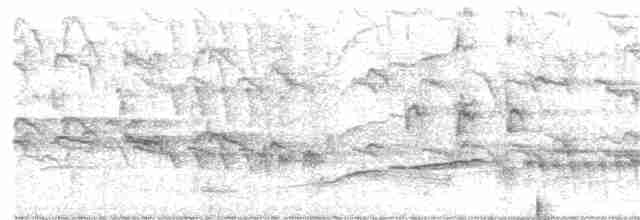 Büyük Kuyruklu Kiskal [mexicanus grubu] - ML397760391