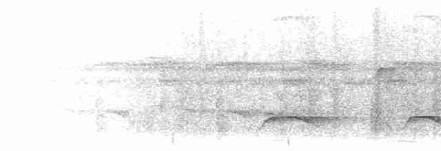 Полосатый зимородок - ML397812561