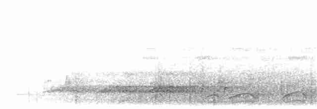 Bushy-crested Hornbill - ML397816221