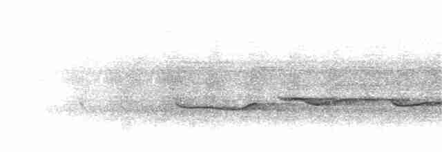 Gray-headed Babbler - ML397818111