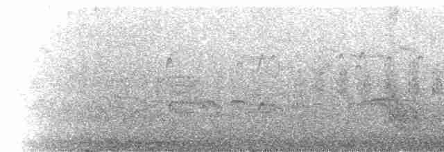 Arctic Tern - ML39784161