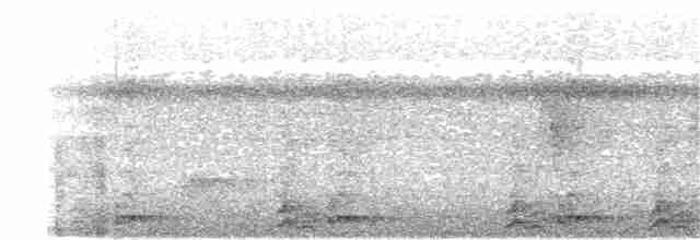 Black-eared Wood-Quail - ML397861701