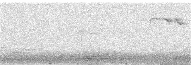 gransanger (tristis) (sibirgransanger) - ML397870171