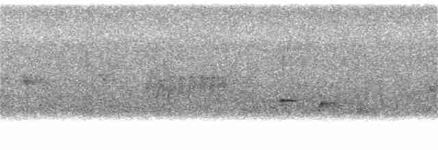Пронурок сірий - ML397895261