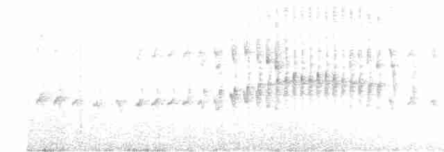 Трясохвіст темночеревий - ML397915961