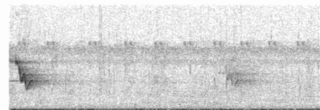 Angola-Bülbülgrasmücke - ML397977321