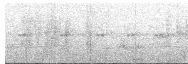 Gray-striped Spurfowl - ML397988241