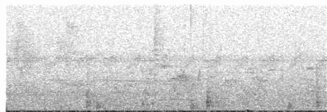 Gray-striped Spurfowl - ML397988261