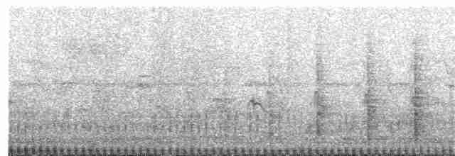 Gray-striped Spurfowl - ML397988271