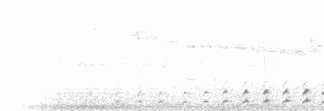 Gallinule à face noire - ML398001241